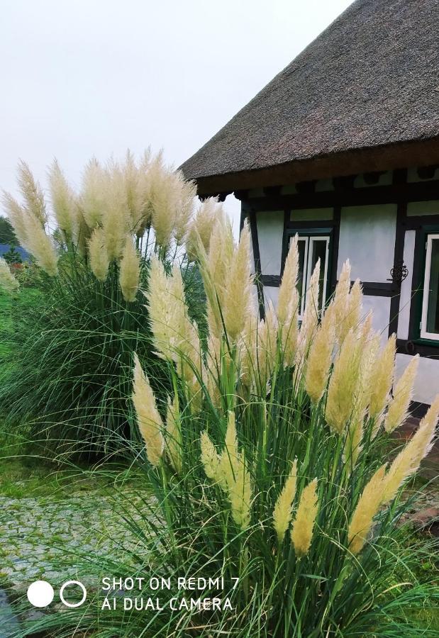 Podroze Checz Villa Charbrowo Luaran gambar