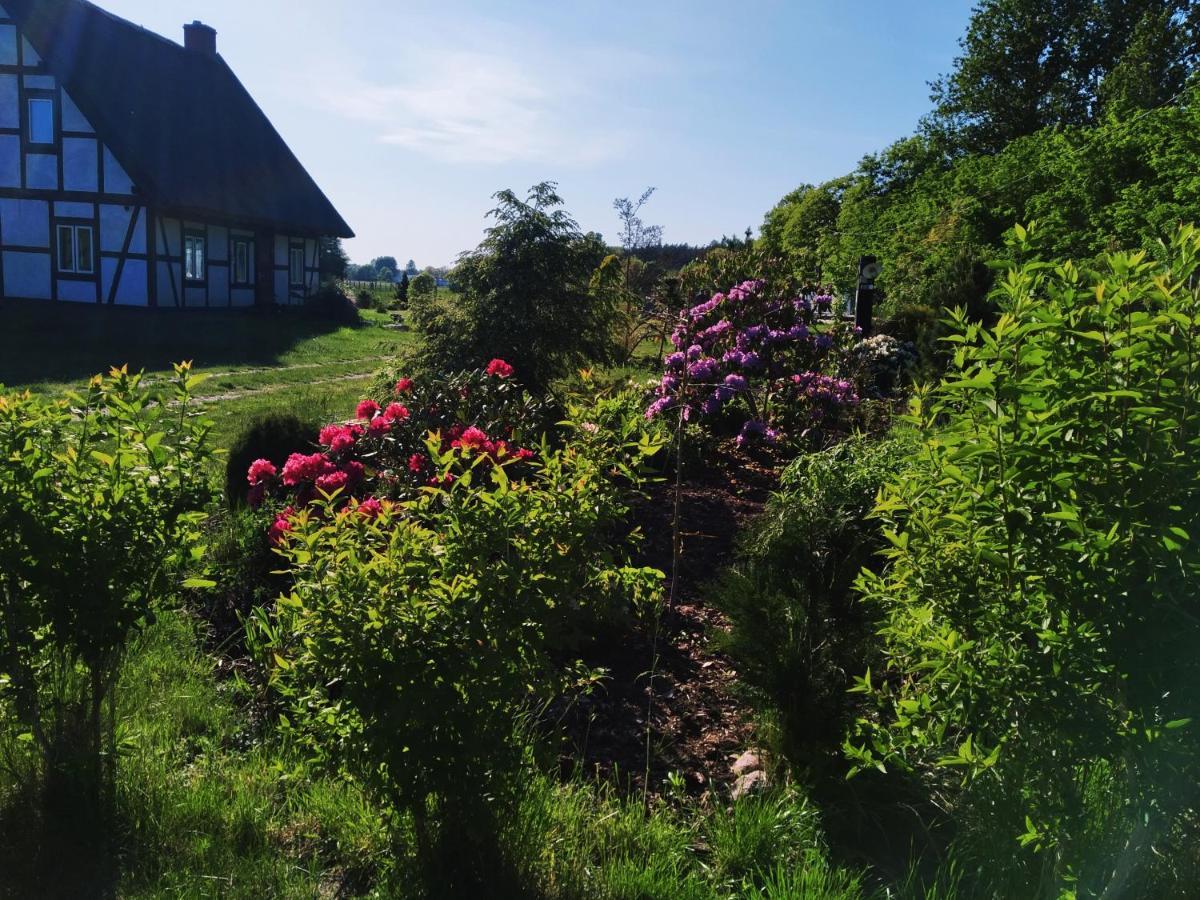 Podroze Checz Villa Charbrowo Luaran gambar