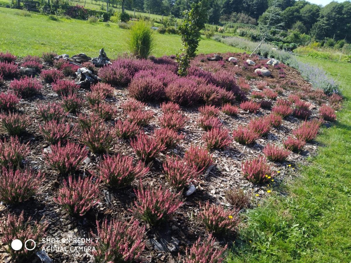Podroze Checz Villa Charbrowo Luaran gambar